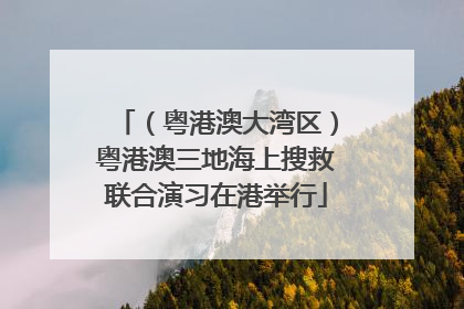 （粤港澳大湾区）粤港澳三地海上搜救联合演习在港举行